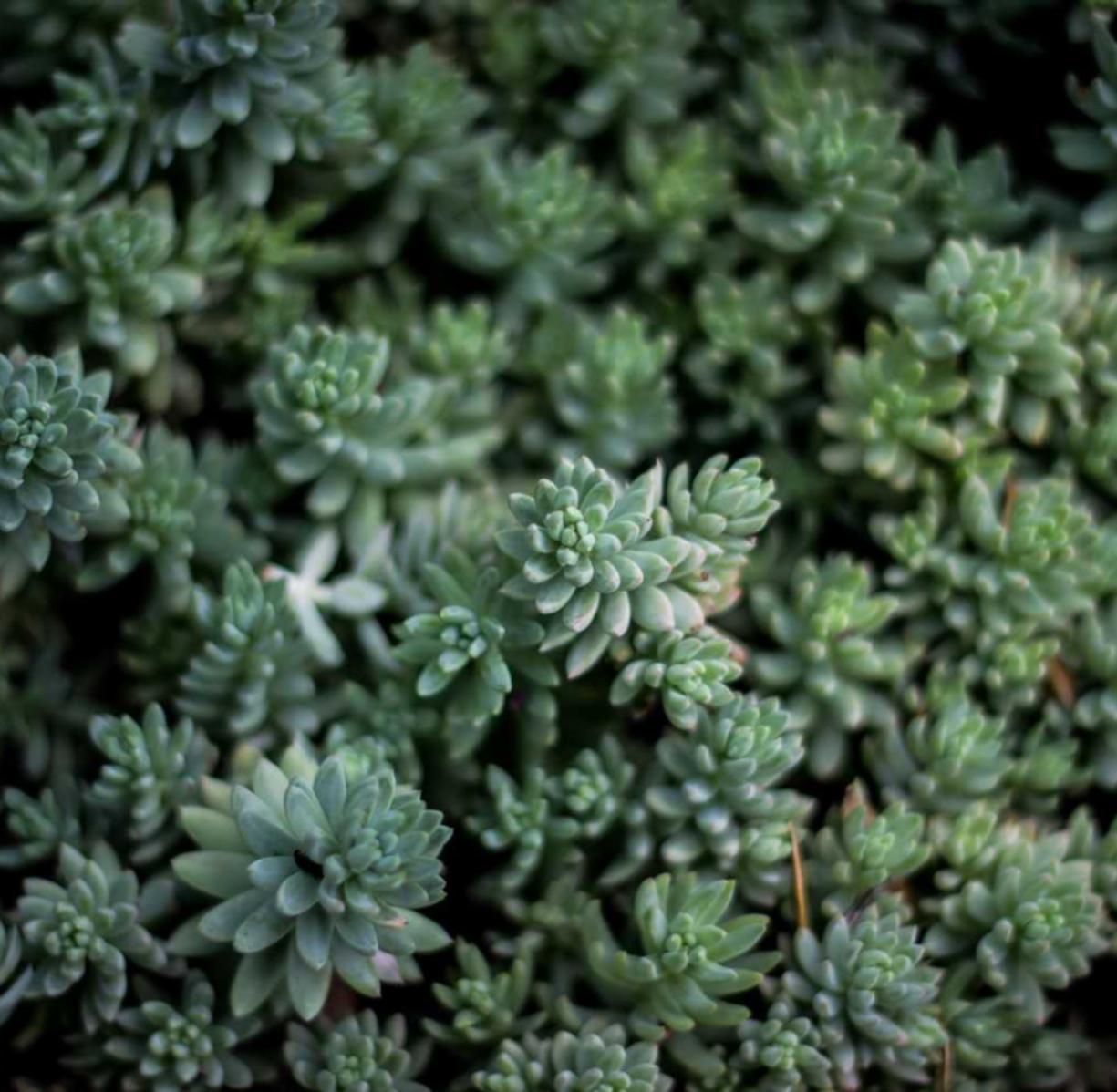 物语云实名账号:红旗区代理记账注册怎么选