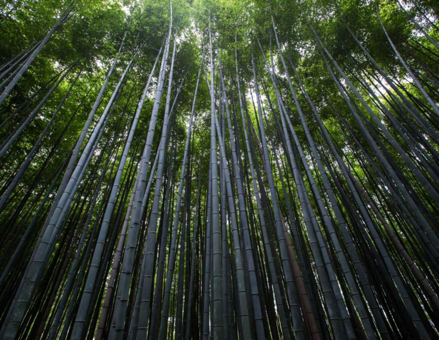 DDOS网页端平台|怎样注册qq公众账号